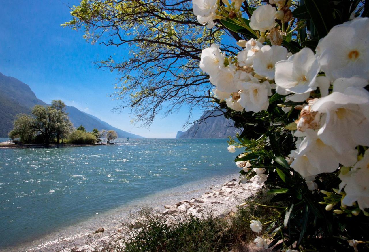 Casa Rosa Διαμέρισμα Torbole Sul Garda Εξωτερικό φωτογραφία